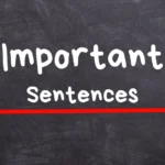 43 Short but Important Sentences Used in Daily Life