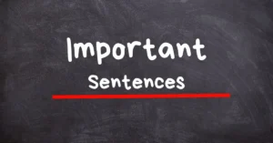 43 Short but Important Sentences for Daily Use 5 43 Short but Important Sentences Used in Daily Life