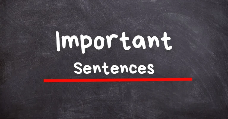 43 Short but Important Sentences Used in Daily Life