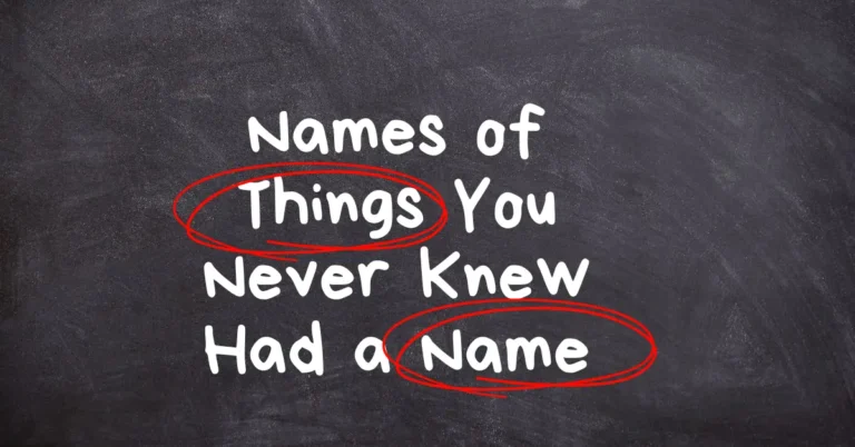 List of Things You Never Knew Had a Name